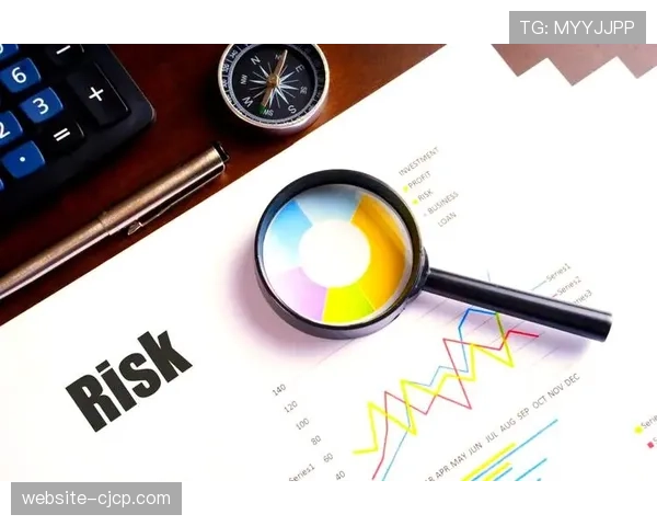 财务视角:深度剖析RB莱比锡的可持续模式如何支撑其长期保持竞争力 财务视角:深度剖析RB莱比锡的可持续模式如何支撑其长期保持竞争力